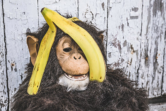 数据分析利器的手机号自动轰炸